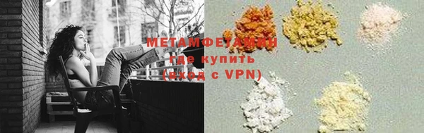 индика Горнозаводск